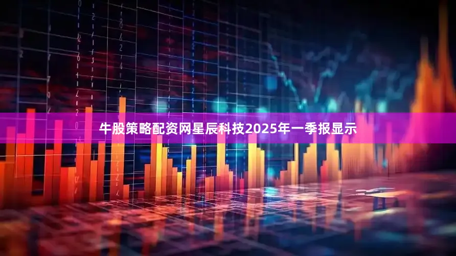 牛股策略配资网星辰科技2025年一季报显示