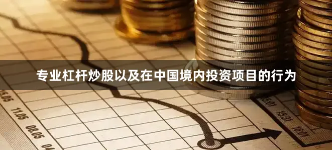 专业杠杆炒股以及在中国境内投资项目的行为
