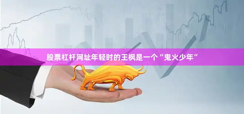 股票杠杆网址年轻时的王枫是一个“鬼火少年”