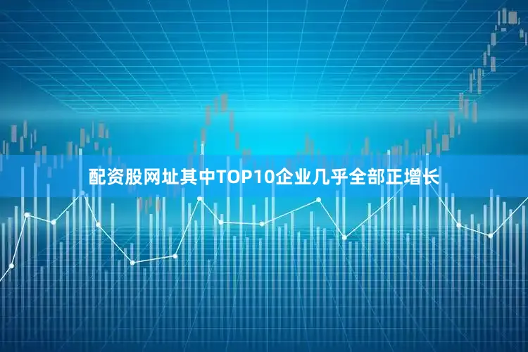 配资股网址其中TOP10企业几乎全部正增长