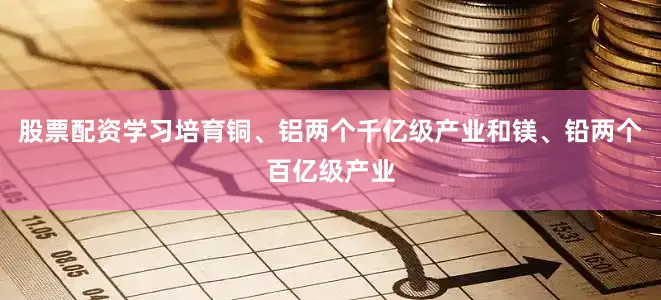 股票配资学习培育铜、铝两个千亿级产业和镁、铅两个百亿级产业