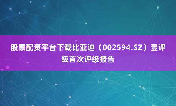 股票配资平台下载比亚迪（002594.SZ）壹评级首次评级报告