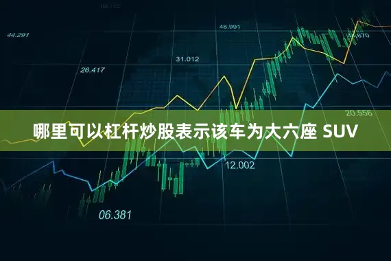 哪里可以杠杆炒股表示该车为大六座 SUV