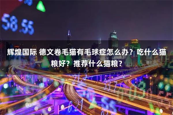 辉煌国际 德文卷毛猫有毛球症怎么办？吃什么猫粮好？推荐什么猫粮？