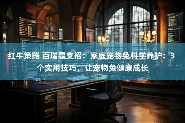 红牛策略 百瑞赢支招：家庭宠物兔科学养护：3 个实用技巧，让宠物兔健康成长
