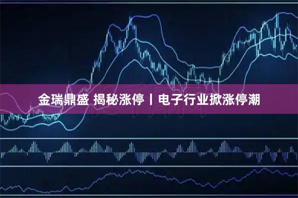 金瑞鼎盛 揭秘涨停丨电子行业掀涨停潮